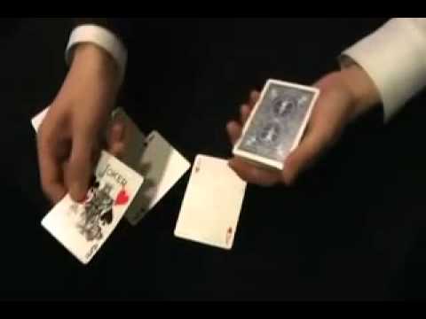 Pips a poppin' Tony L  Lewis