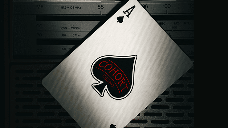 cohort_casino_11